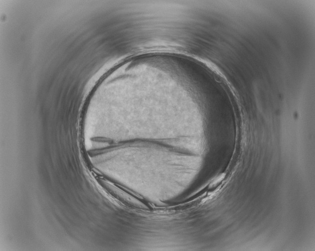 X0000053081333200508081235