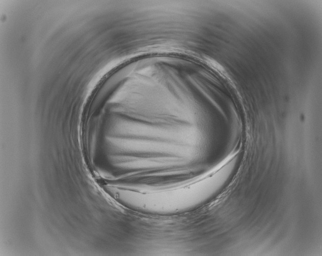 X0000053081334200508081235