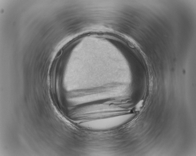 X0000053081335200508081235