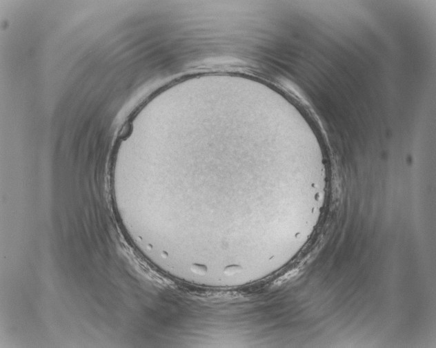 X0000053081336200508081235