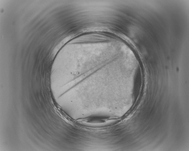 X0000053081337200508081235