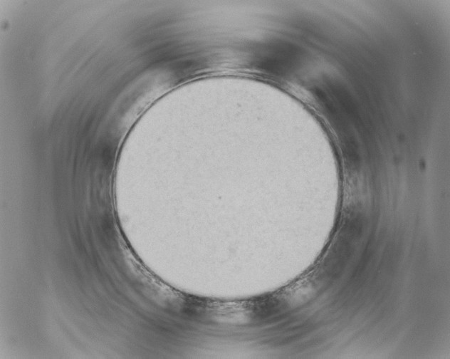 X0000053081338200508081235