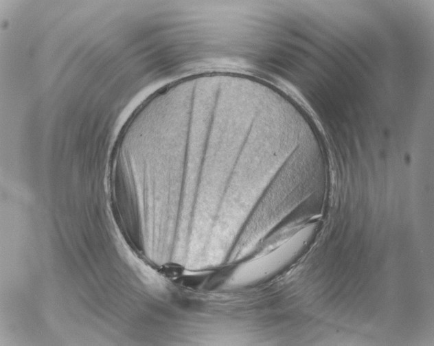 X0000053081339200508081235