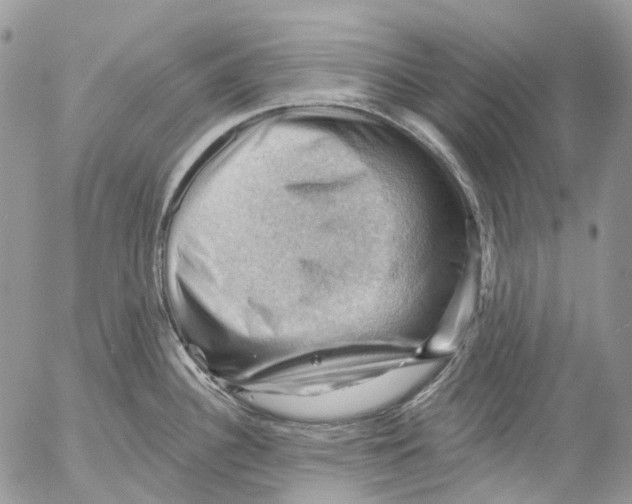 X0000053081340200508081235