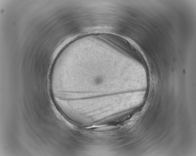 X0000053081341200508081235