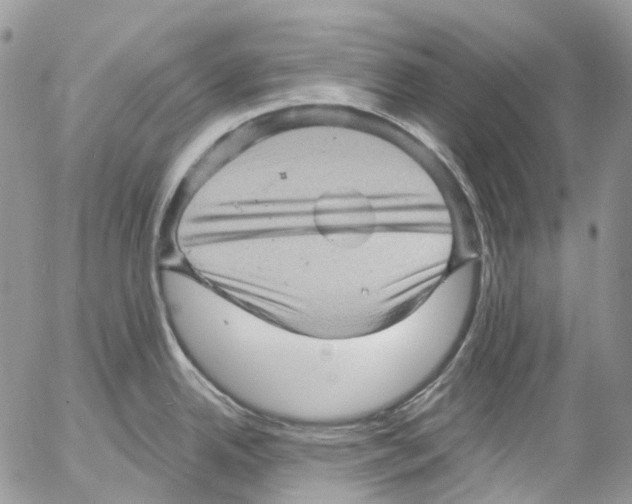 X0000053081342200508081235