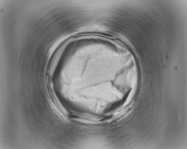 X0000053081344200508081235