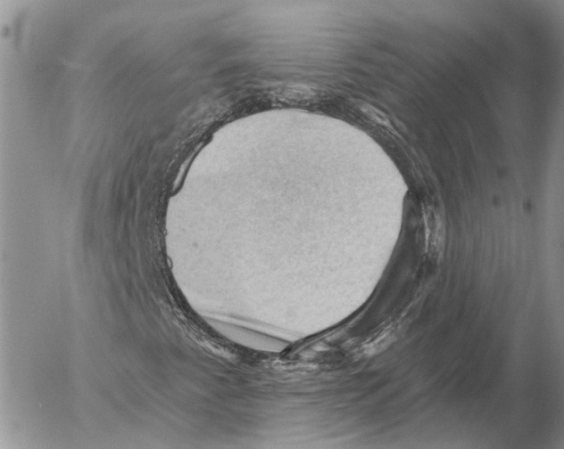 X0000053081345200508081235