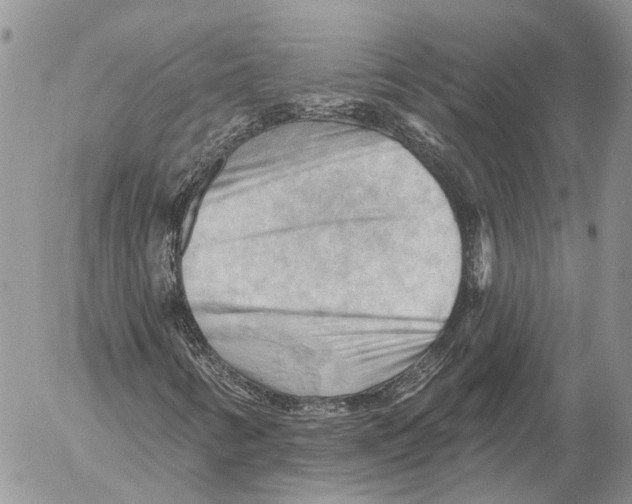 X0000053081346200508081235