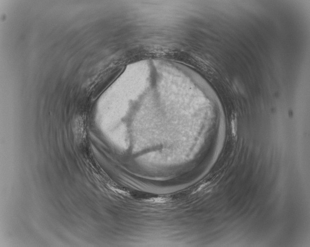 X0000053081347200508081235