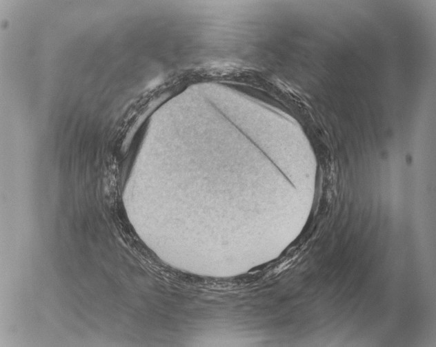 X0000053081349200508081235