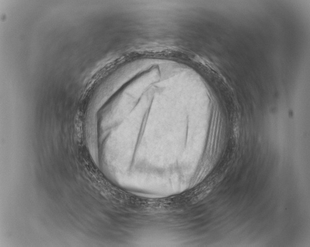 X0000053081350200508081235