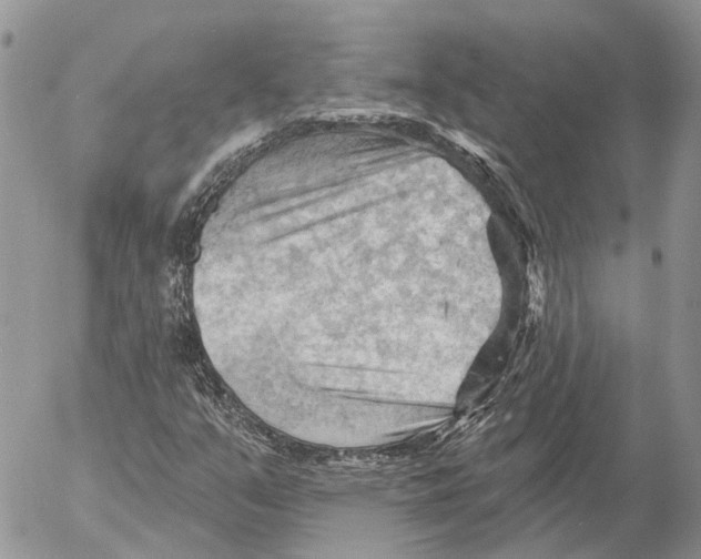 X0000053081351200508081235