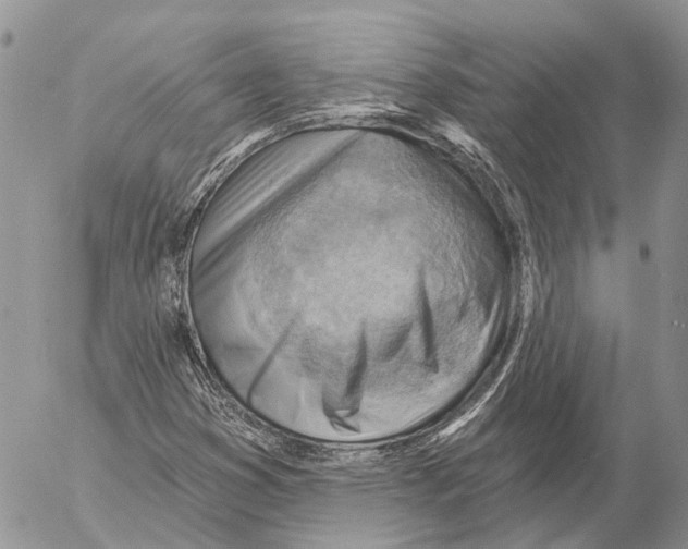 X0000053081353200508081235