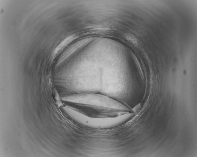 X0000053081354200508081235