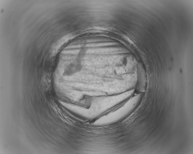 X0000053081355200508081235