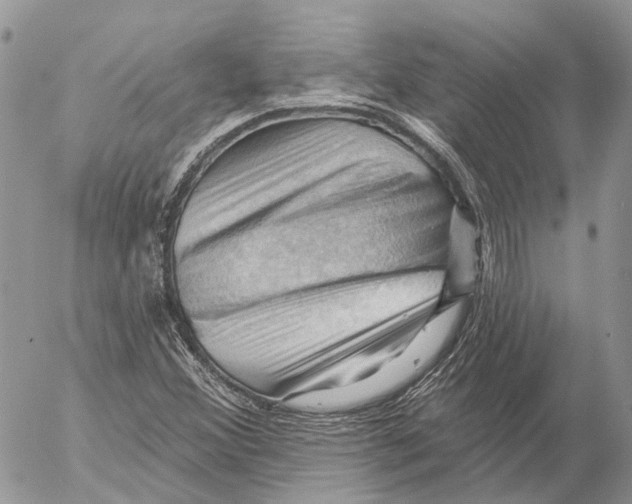 X0000053081356200508081235