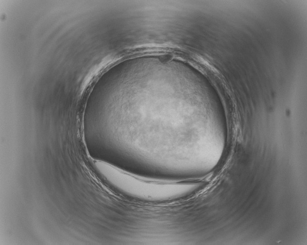 X0000053081357200508081234