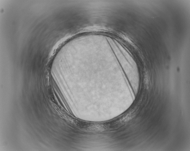 X0000053081358200508081234