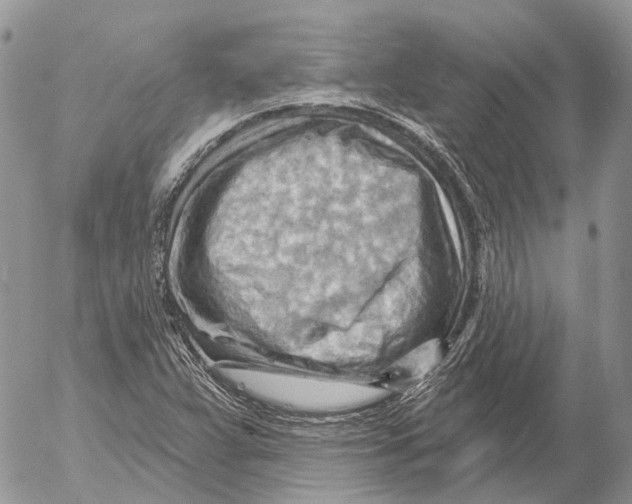 X0000053081359200508081234