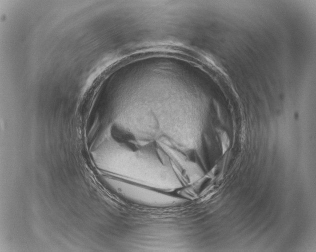 X0000053081360200508081234