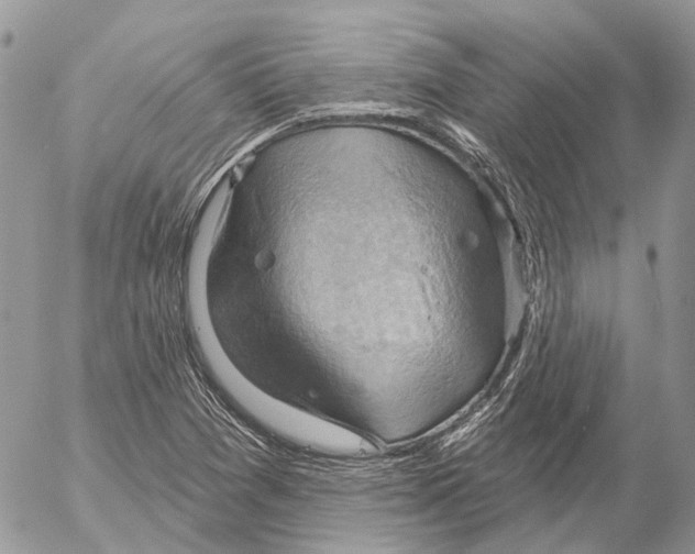 X0000053081361200508081234