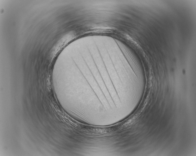 X0000053081362200508081234