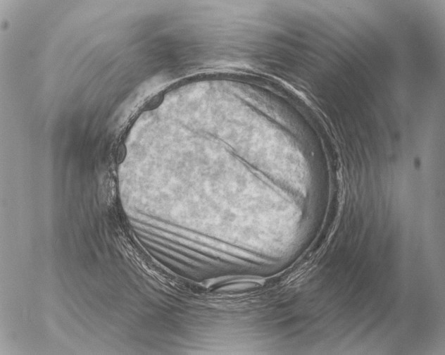 X0000053081363200508081234