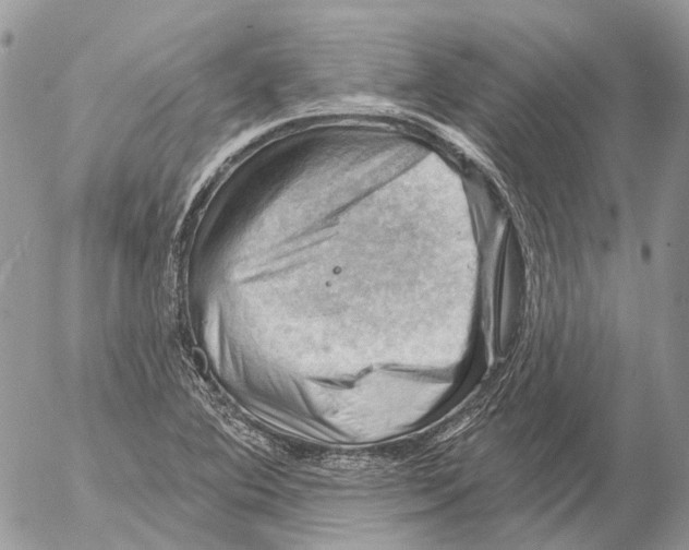 X0000053081364200508081234