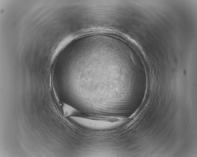 X0000053081365200508081234