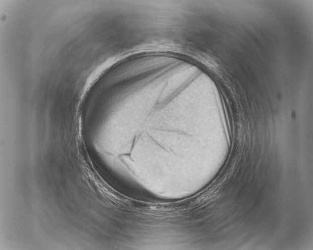 X0000053081366200508081234