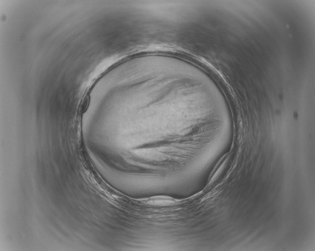 X0000053081367200508081234