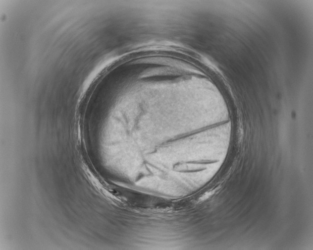 X0000053081368200508081234