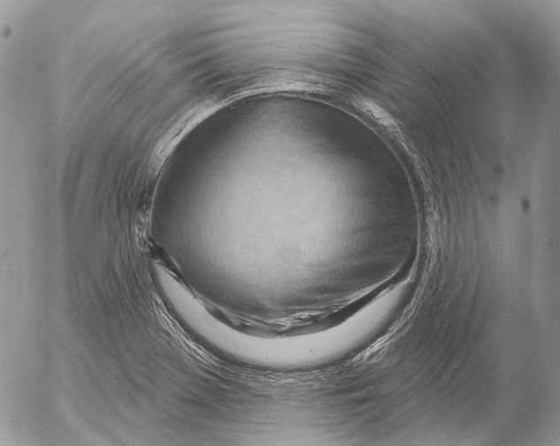 X0000053081369200508081234