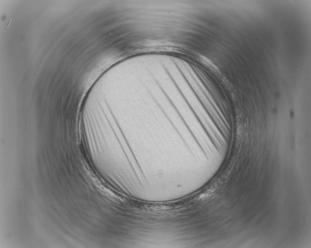 X0000053081370200508081234