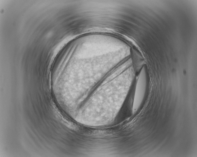 X0000053081371200508081234