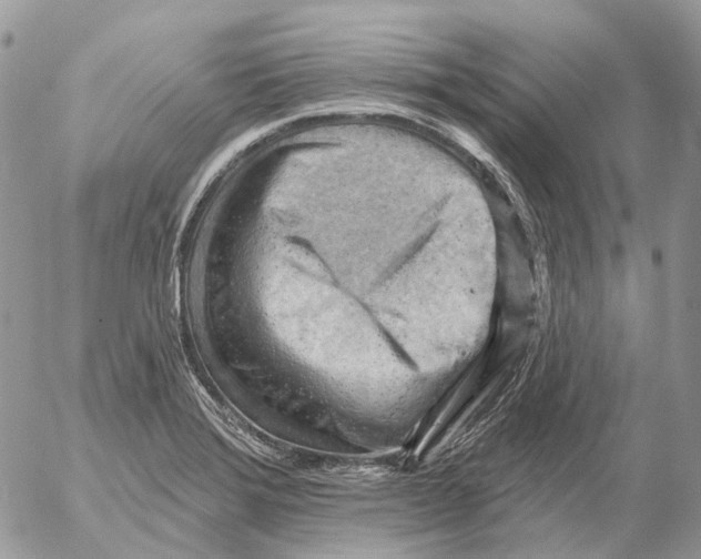 X0000053081372200508081234