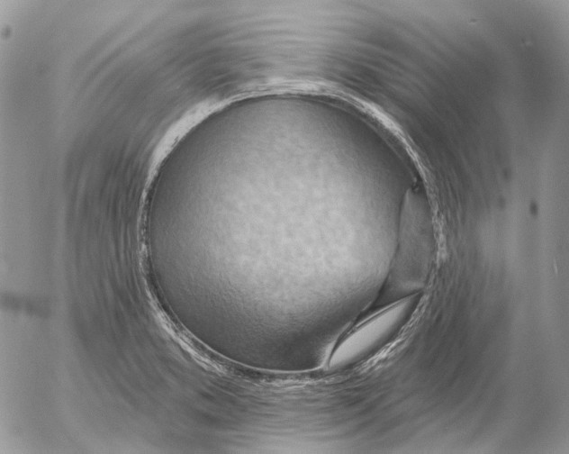 X0000053081373200508081234