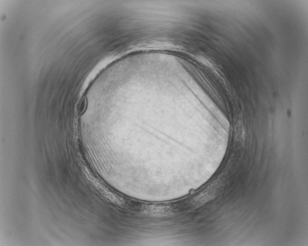 X0000053081374200508081234