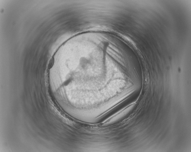 X0000053081375200508081234