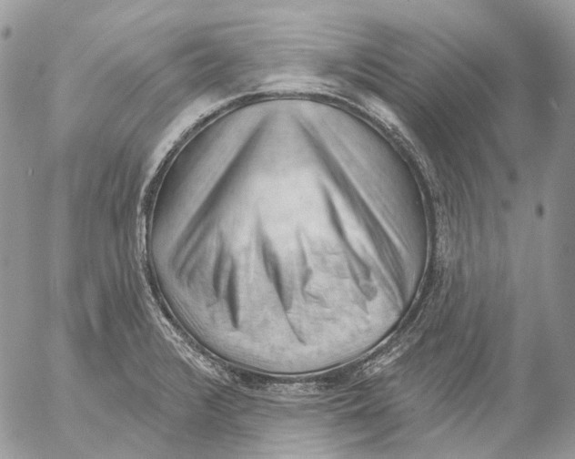 X0000053081376200508081234