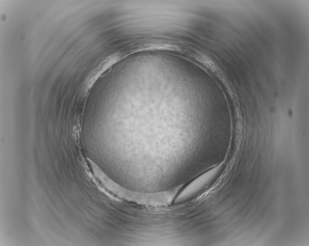 X0000053081377200508081234