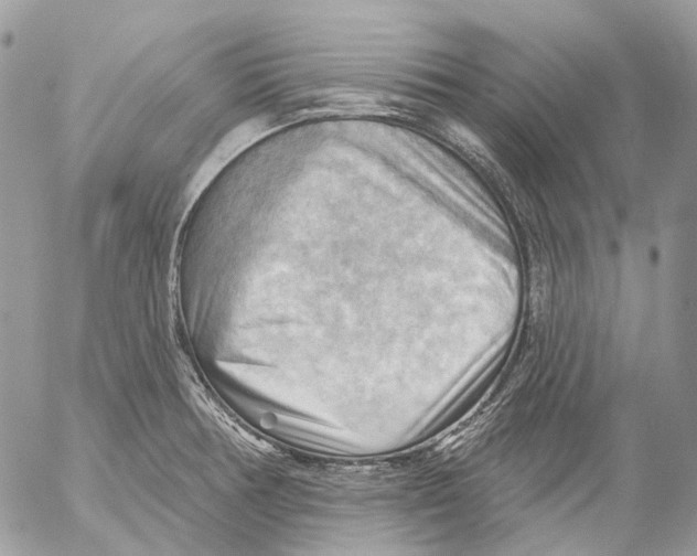 X0000053081378200508081234