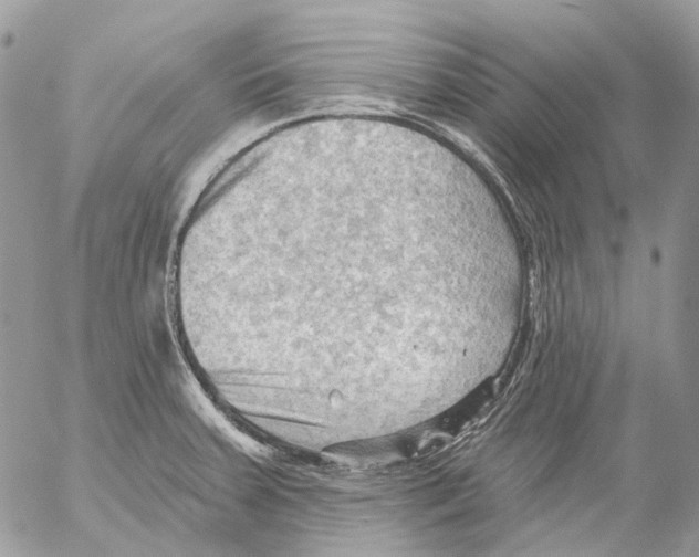 X0000053081379200508081234