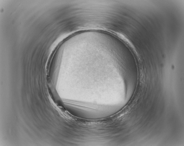 X0000053081380200508081234