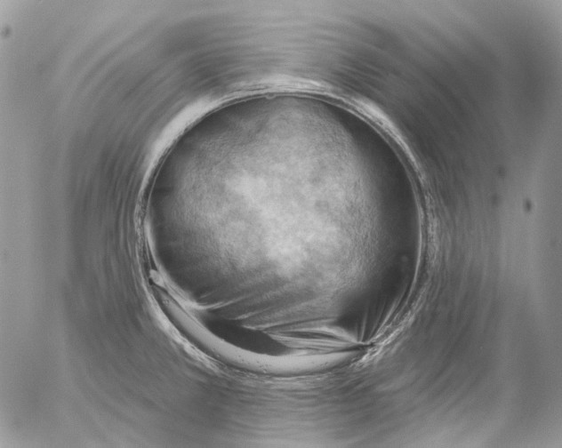 X0000053081381200508081234