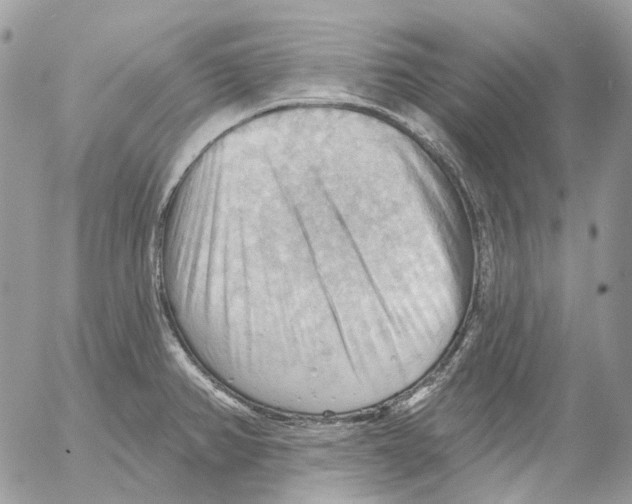 X0000053081382200508081234