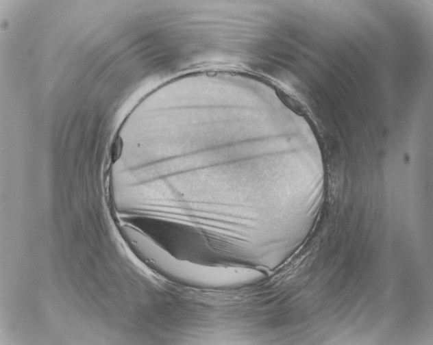 X0000053081383200508081234