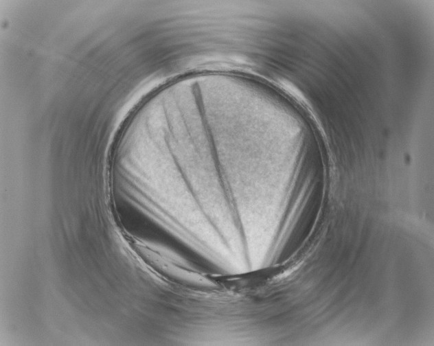 X0000053081384200508081234