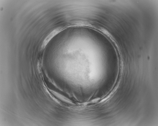 X0000053081385200508081234